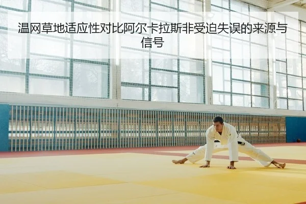 温网草地适应性对比阿尔卡拉斯非受迫失误的来源与信号